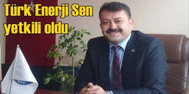Türk Enerji Sen yeniden yetkili sendika oldu
