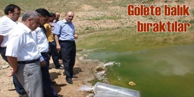 Kırıkkale`de Cinali Göletine  20 bin yavru balık bırakıldı