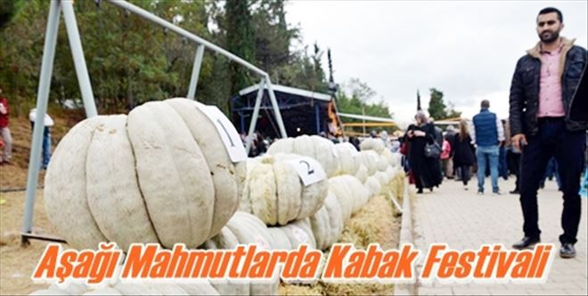 Aşağı Mahmutlarda Kabak Festivali