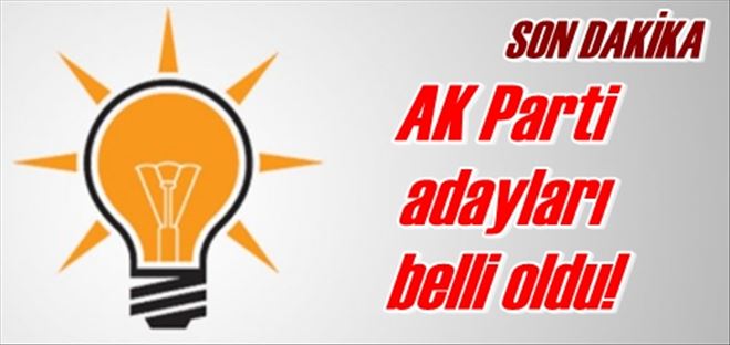  AK Parti adayları belli oldu!
