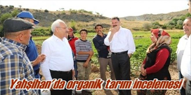 Yahşihan´da organik tarım