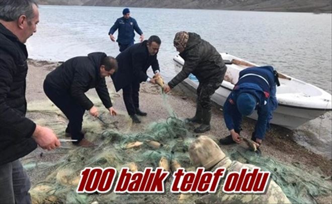 100 balık telef oldu
