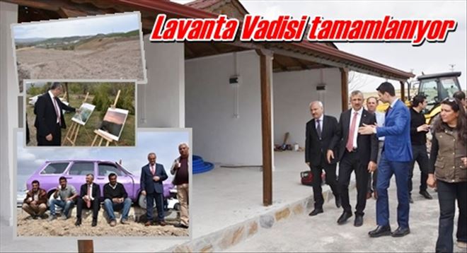 Lavanta Vadisi tamamlanıyor