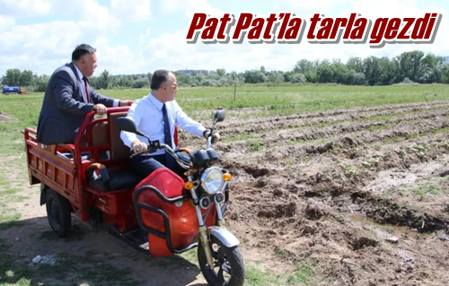 Pat Pat’la tarla gezdi