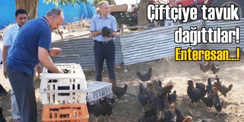 4 bin tavuk dağıtıldı