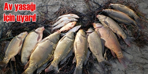 Kırıkkale`de av yasağı