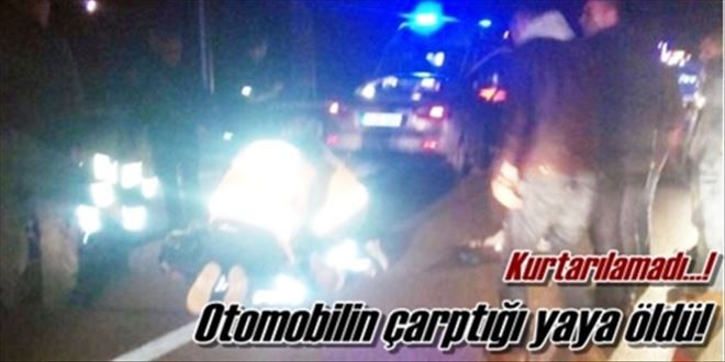 Kırıkkale´de otomobilin  çarptığı yaya öldü