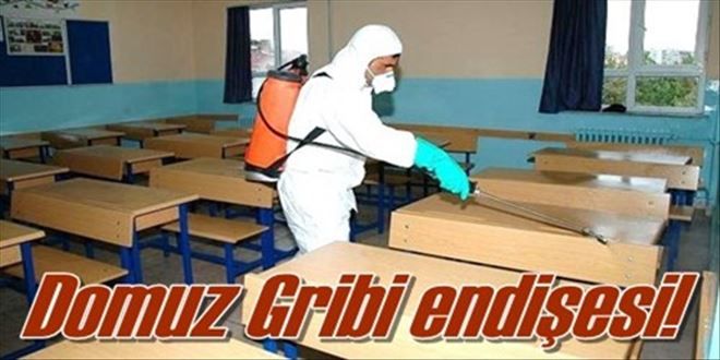 Domuz Gribi endişesi?!