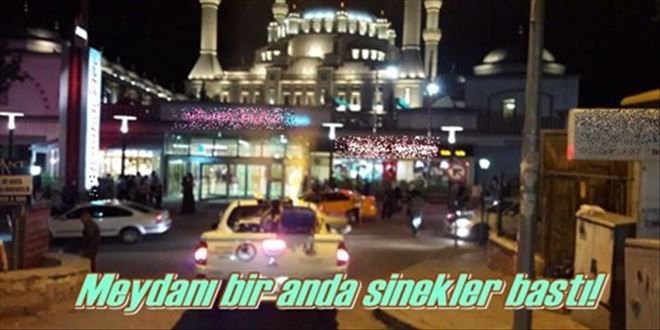 Meydanı sinekler bastı