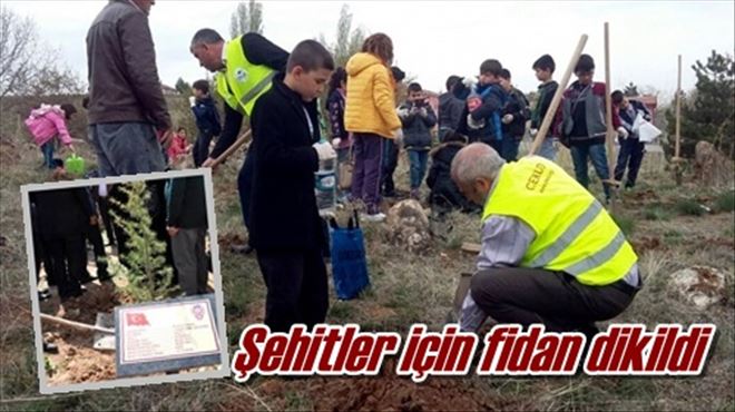 Şehitler için fidan dikildi