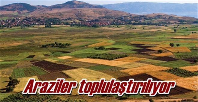 Araziler toplulaştırılıyor