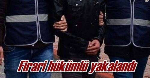 Firari hükümlü yakalandı