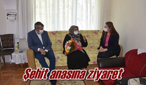 Şehit anasına ziyaret