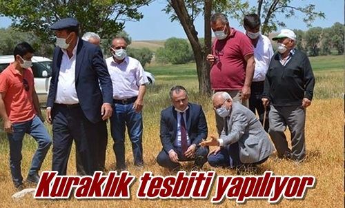 Kuraklık tespiti yapılıyor