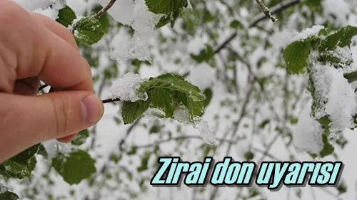 Zirai don uyarısı