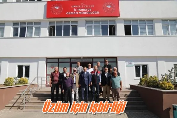 Üzüm için işbirliği