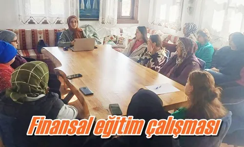 Finansal eğitim çalışması