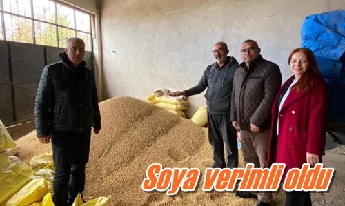 Soya verimli oldu