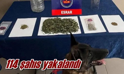 114 şahıs yakalandı