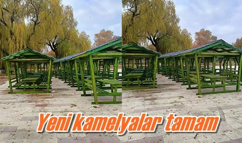 Yeni kamelyalar tamam