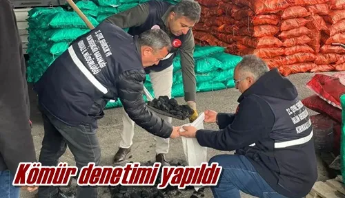 Kömür denetimi yapıldı