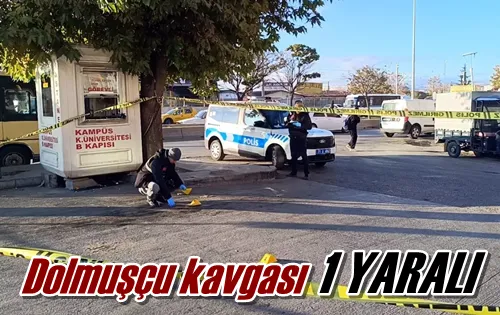 Dolmuşçu kavgası: 1 yaralı