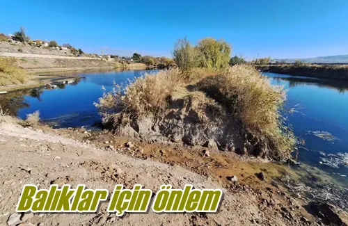 Balıklar için önlem