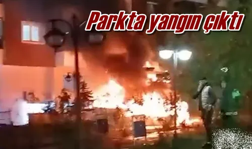 Parkta yangın çıktı