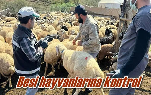 Besi hayvanlarına kontrol