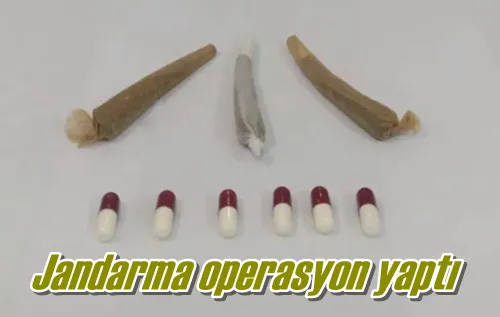 Jandarma operasyon yaptı