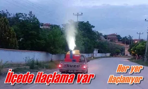 İlçede ilaçlama var