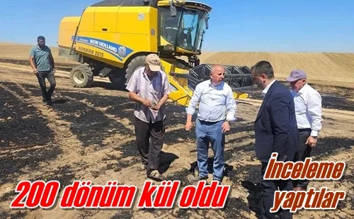 200 dönüm kül oldu