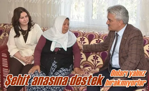 Şehit anasına destek