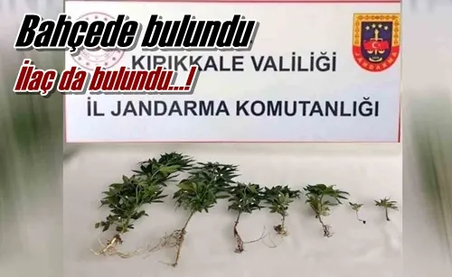 Bahçede bulundu