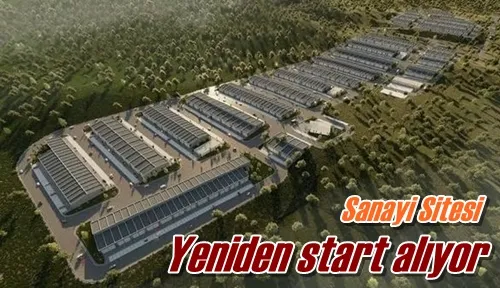 Yeniden start alıyor