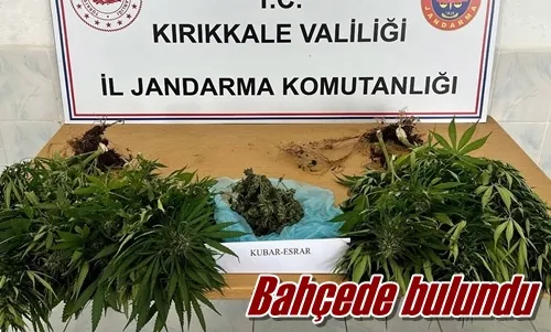 Bahçede bulundu