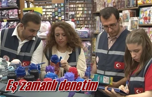 Eş zamanlı denetim