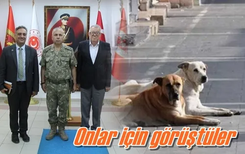 Onlar için görüştüler