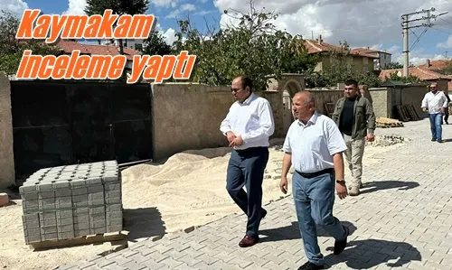 Kaymakam inceleme yaptı