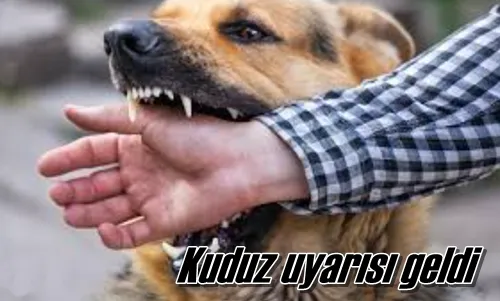 Kuduz uyarısı geldi