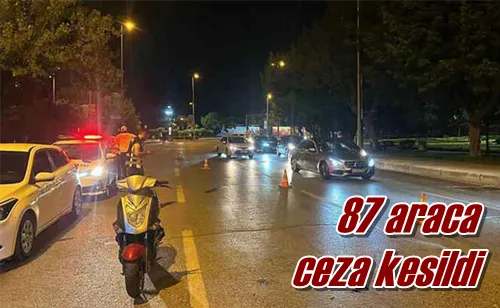 87 araca ceza kesildi