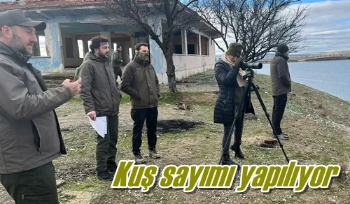 Kuş sayımı yapılıyor