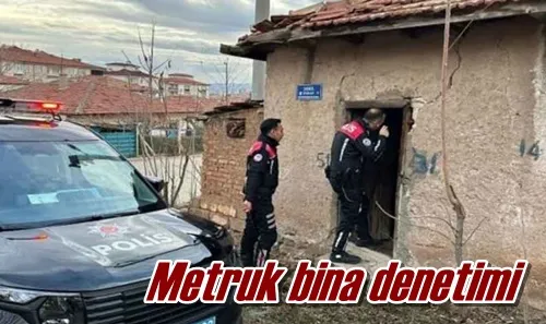 Metruk bina denetimi