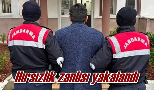 Hırsızlık zanlısı yakalandı