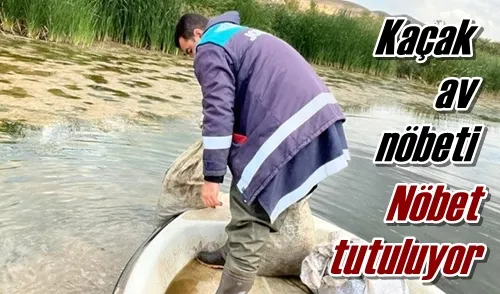 Kaçak av nöbeti