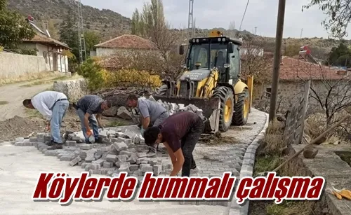 Köylerde hummalı çalışma