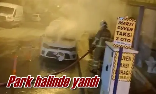 Park halinde yandı