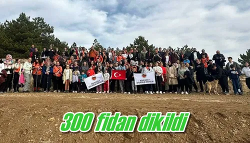 300 fidan dikildi