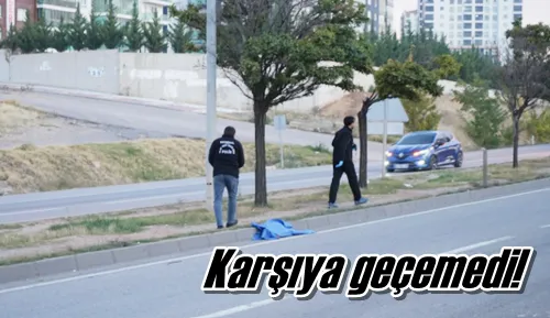 Karşıya geçemedi!