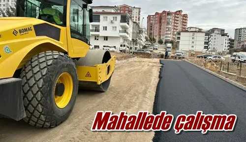 Mahallede çalışma